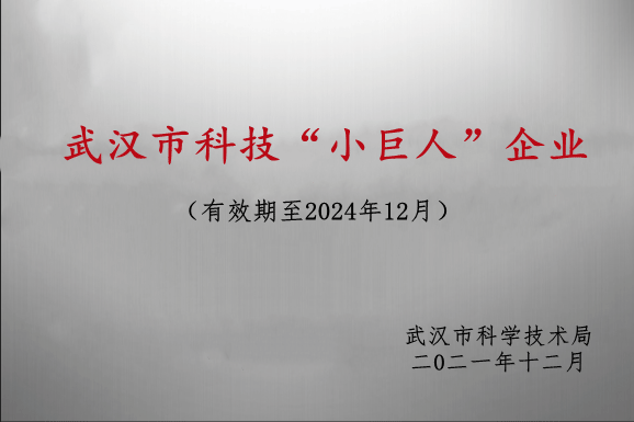 高新技术企业证书